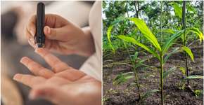 Foto: (ReMa/Agus Subianto/istock)