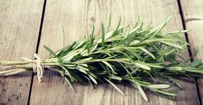 Foto: (Istock)