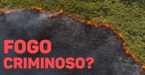 Entenda todos os desdobramentos das prisões em Alter do Chão