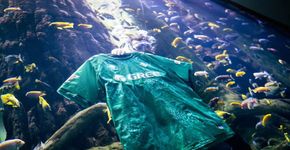 Real Bétis lança uniforme feito de algas marinhas e fibras de plásticos retiradas do oceano