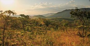 Reserva Natural Serra do Tombador procura novo administrador