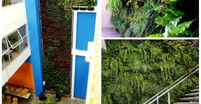 Kit permite a instalação de jardim vertical em casa