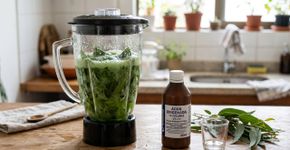Liquidificar folhas de eucalipto e água oxigenada: Uma mistura poderosa que tem uma grande função para higienizar colchões e travesseiros