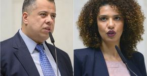 Foto: (Reprodução/Alesp)