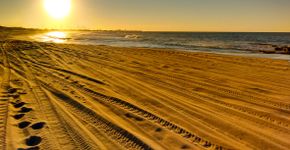 Foto: (Istock)