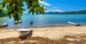 Foto: (Istock/Ekaterina Belova)