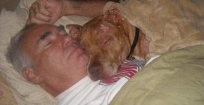 Cão queimado vivo se torna símbolo de luta contra crueldade e discriminação