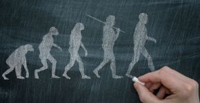 Corpo humano passou por quatro estágios de evolução, diz estudo