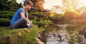 Foto: (Imgorthand/istock)