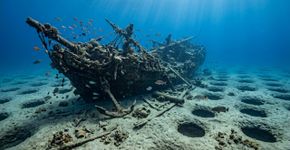 Cientistas mapearam um naufrágio na Austrália e encontraram 300 buracos ao redor: peixes podem ter escavado o fundo do mar, e esse padrão já ajudou a achar um navio perdido por 74 anos