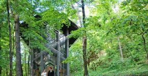 Conheça a capela sustentável construída no meio de uma floresta