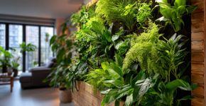 Seu apê merece um ar natural, como montar uma jardim vertical simples