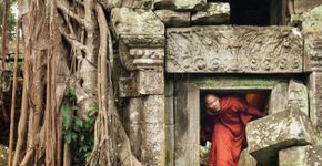 Foto: (wanderluster/iStock)