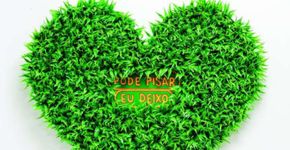 Foto: (Bruno Motta Mello)