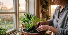 Pessoas que cuidam de plantas ao amanhecer tem essas 5 características positívas, segundo a psicologia