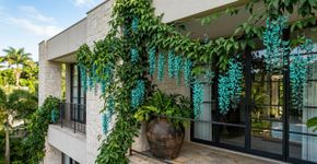 A trepadeira com o florescimento mais exuberante do mundo: como cultivá-la em vaso e reinventar sua fachada