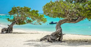 Roteiro para curtir o que há de melhor na noite de Aruba