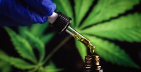 Foto: (24K-Production/istock)