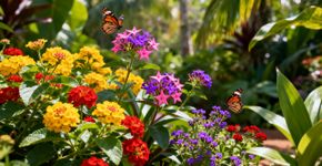Três plantas que enchem seu jardim de flores e borboletas o ano inteiro sem dar trabalho nenhum
