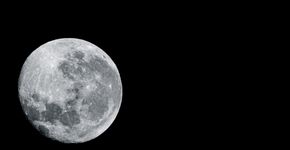 Foto: (Monique Toth/istock)