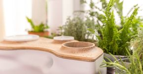 Designers criam composteira de mesa que vira vaso de plantas