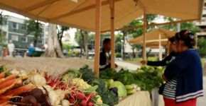 Cem anos de feiras livres em São Paulo são celebrados com Sabor Paulista