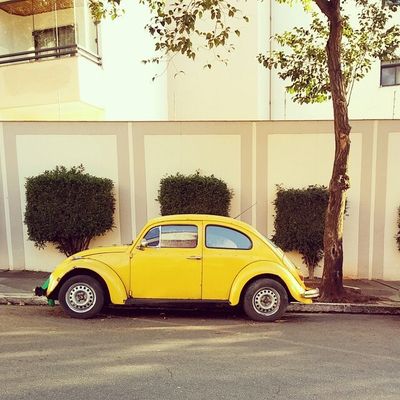 A repercussão da página no Instagram surpreendeu a criadora (Reprodução/@instamooca)