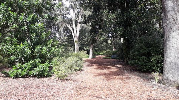 Bok Tower Gardens