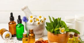 Plantas medicinais e fitoterápicos: veja os benefícios para a saúde