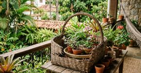 Uma cesta quebrada pode ganhar uma segunda função dentro do jardim