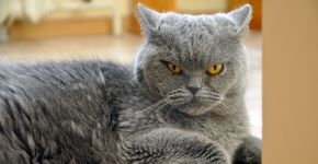 Foto: (struvictory/istock)