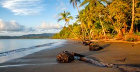 Foto: (Istock/Louis-Michel DESERT)