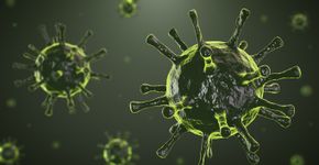 Foto: (iStock/happyphoton)