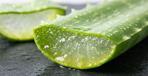 Como fazer um gel facial de aloe vera para renovar a pele e preservar uma aparência iluminada