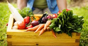 Enquete: Você é a favor de alimentos orgânicos na merenda escolar da rede pública?