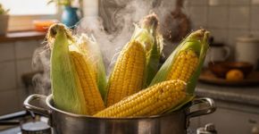Dicas para cozinhar milho para que ele fique doce, aromático e ainda mais delicioso