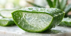 Como preparar um gel facial com aloe vera para renovar a pele e manter uma aparência radiante
