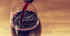 Bar tem degustação gratuita de vinhos