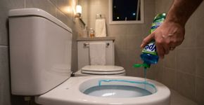 Adicione detergente de louça no vaso sanitário de noite: Um método inteligente para uma limpeza eficiente