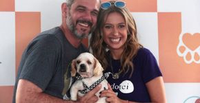 Parceria entre Carrefour e Luisa Mell consegue lares para 94 cães