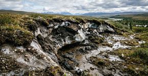 Micróbios ancestrais, congelados por 40.000 anos, ganham vida, se reorganizam e começam a devorar carbono