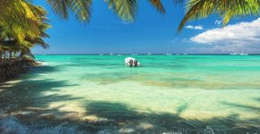 Foto: (valio84sl/iStock)