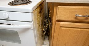 O cantinho da cozinha que quase ninguém lembra de limpar pode acumular mais resíduos do que parece