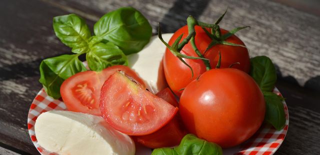 Tostada de pasta de ricotta com tomate