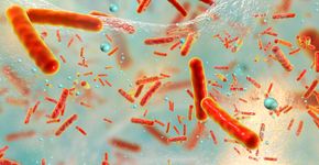 Foto: (Dr_Microbe/istock)