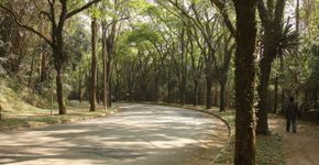 Palestra na USP sobre meio ambiente de São Paulo