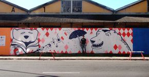 30 artistas dão vida aos 450 metros do muro da Mauá