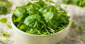 Foto: (iStock/bhofack2)