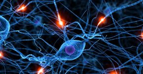 5 sites que vão deixar você mais inteligente