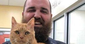 Gatinho idoso ganha presente especial de voluntários de abrigo